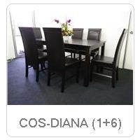 COS-DIANA (1+6)